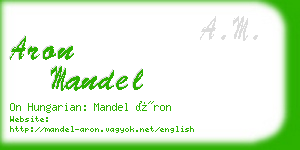aron mandel business card